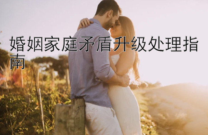 婚姻家庭矛盾升级处理指南