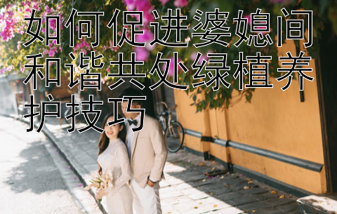 如何促进婆媳间和谐共处绿植养护技巧