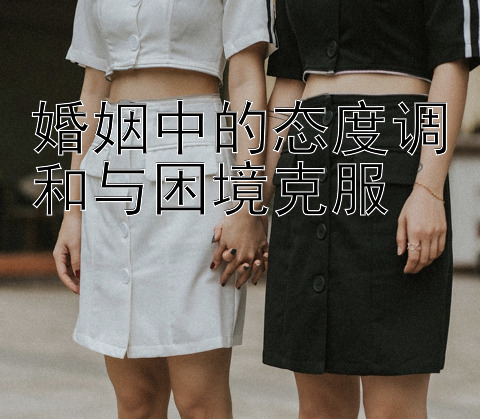 婚姻中的态度调和与困境克服