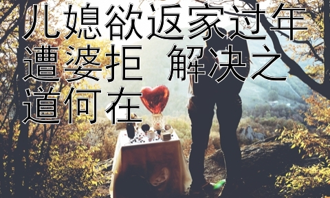 儿媳欲返家过年遭婆拒 解决之道何在