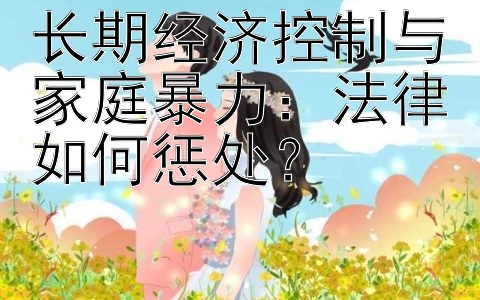 长期经济控制与家庭暴力：法律如何惩处？