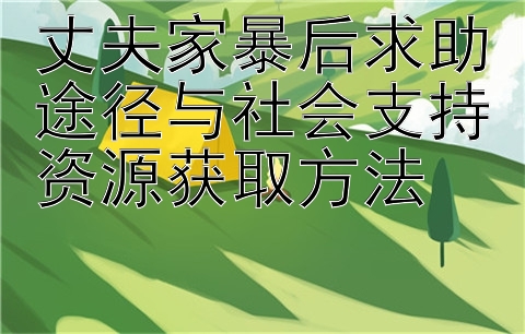 丈夫家暴后求助途径与社会支持资源获取方法