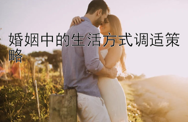 婚姻中的生活方式调适策略