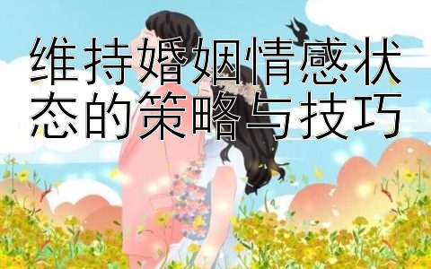 维持婚姻情感状态的策略与技巧